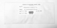 Microsphaeropsis amictus image